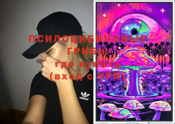 спиды Алзамай