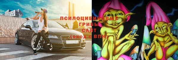 PSILOCYBIN Алексеевка